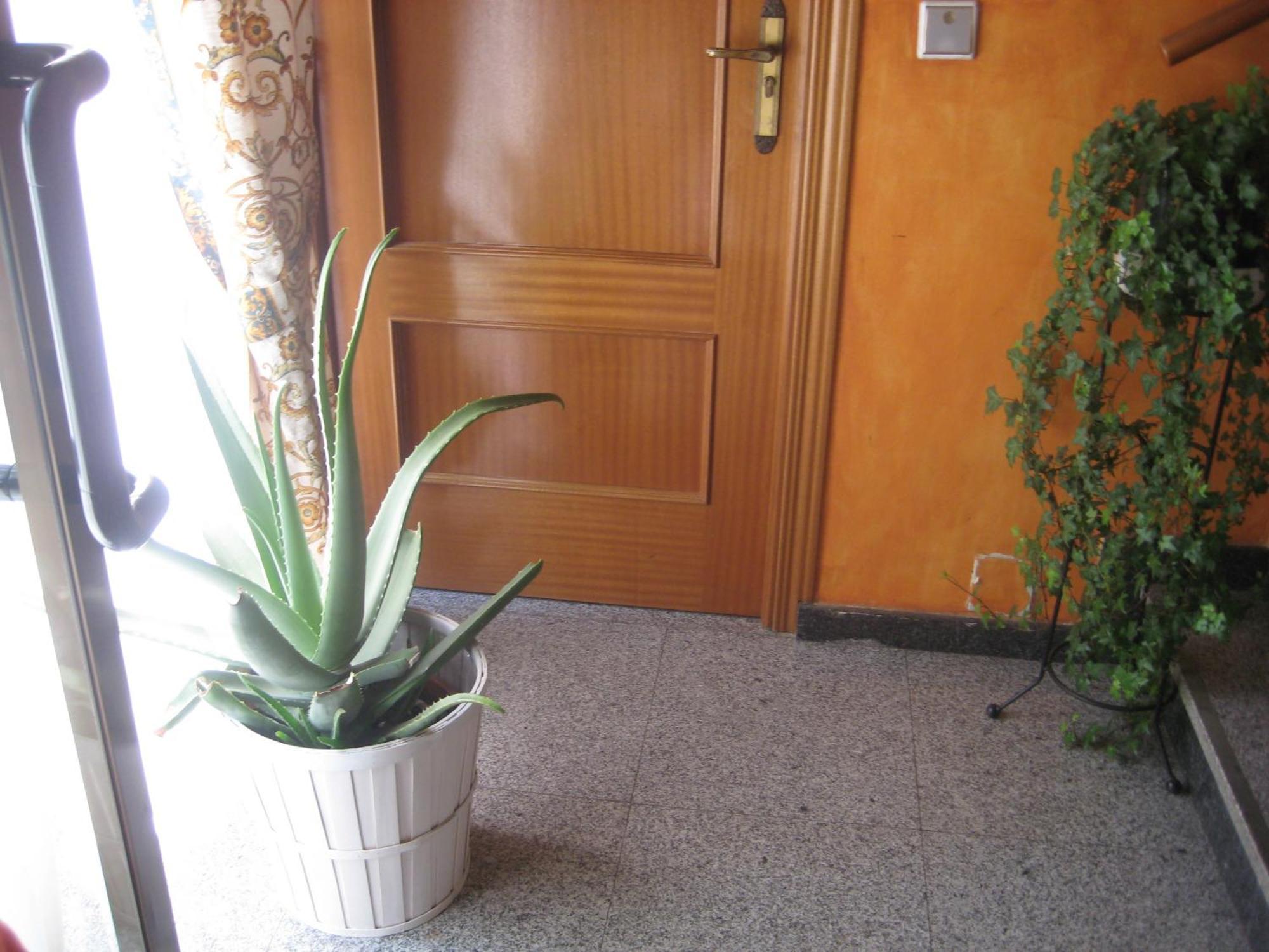 Hostal El Pinar Ávila Exterior foto